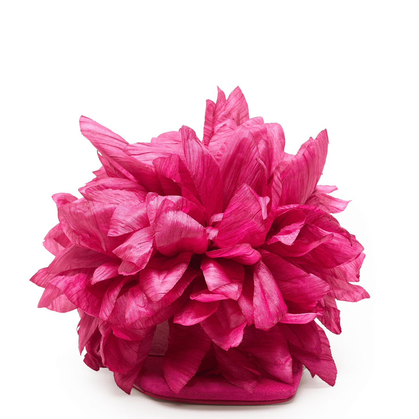 DAHLIA