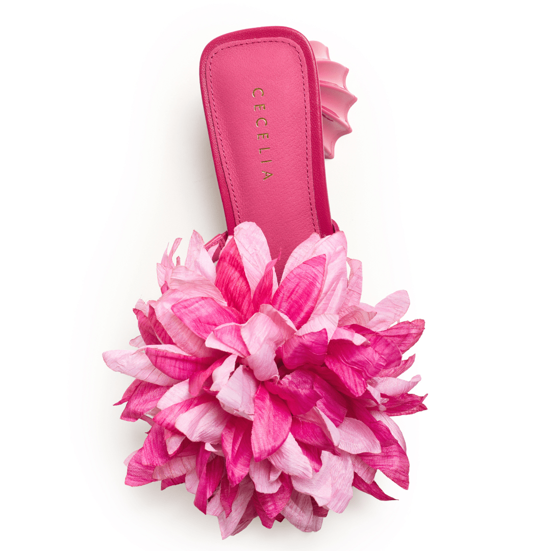 DAHLIA - Magenta Multi