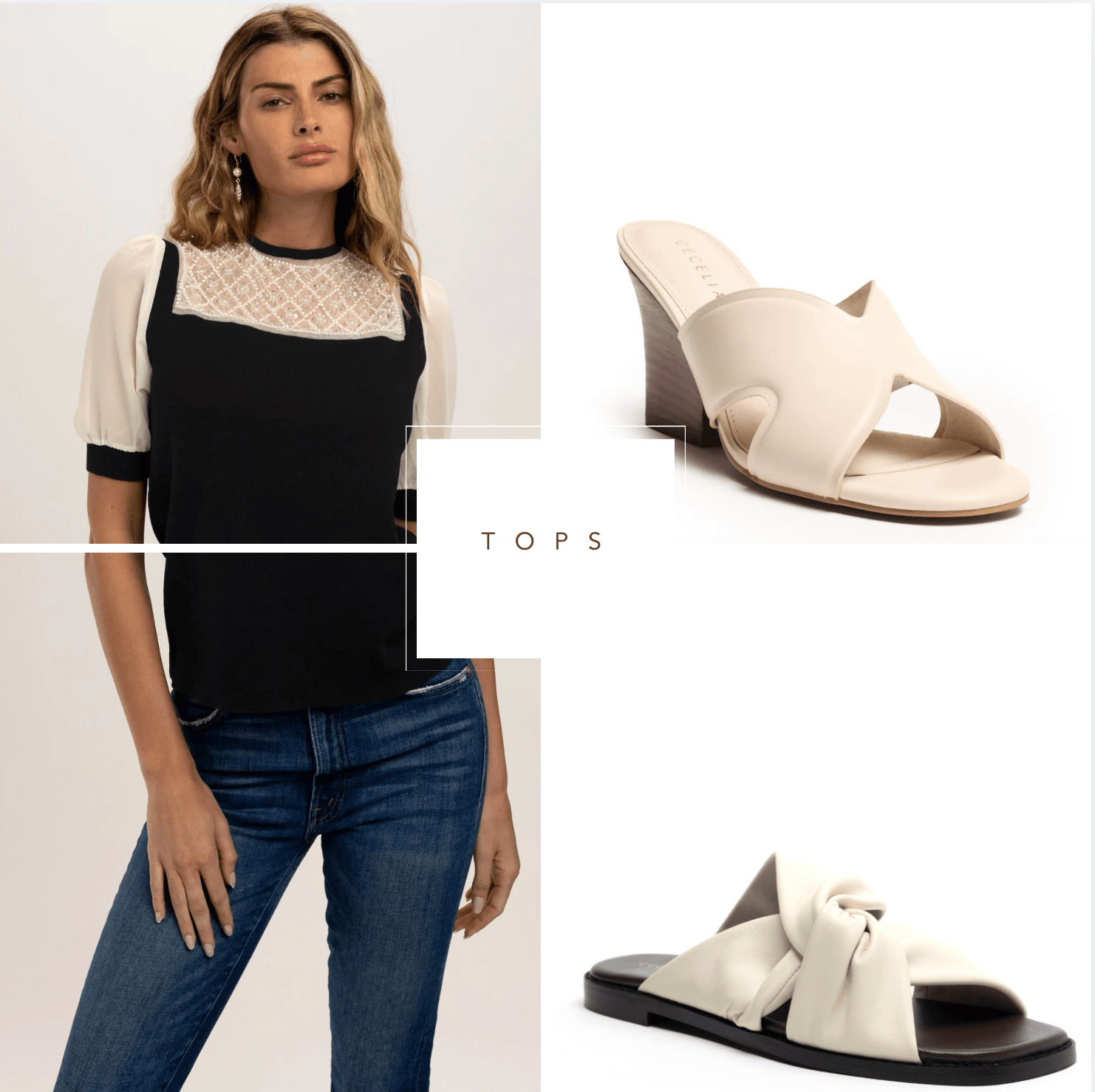 Cecelia New York Tops Blouses Shirts
