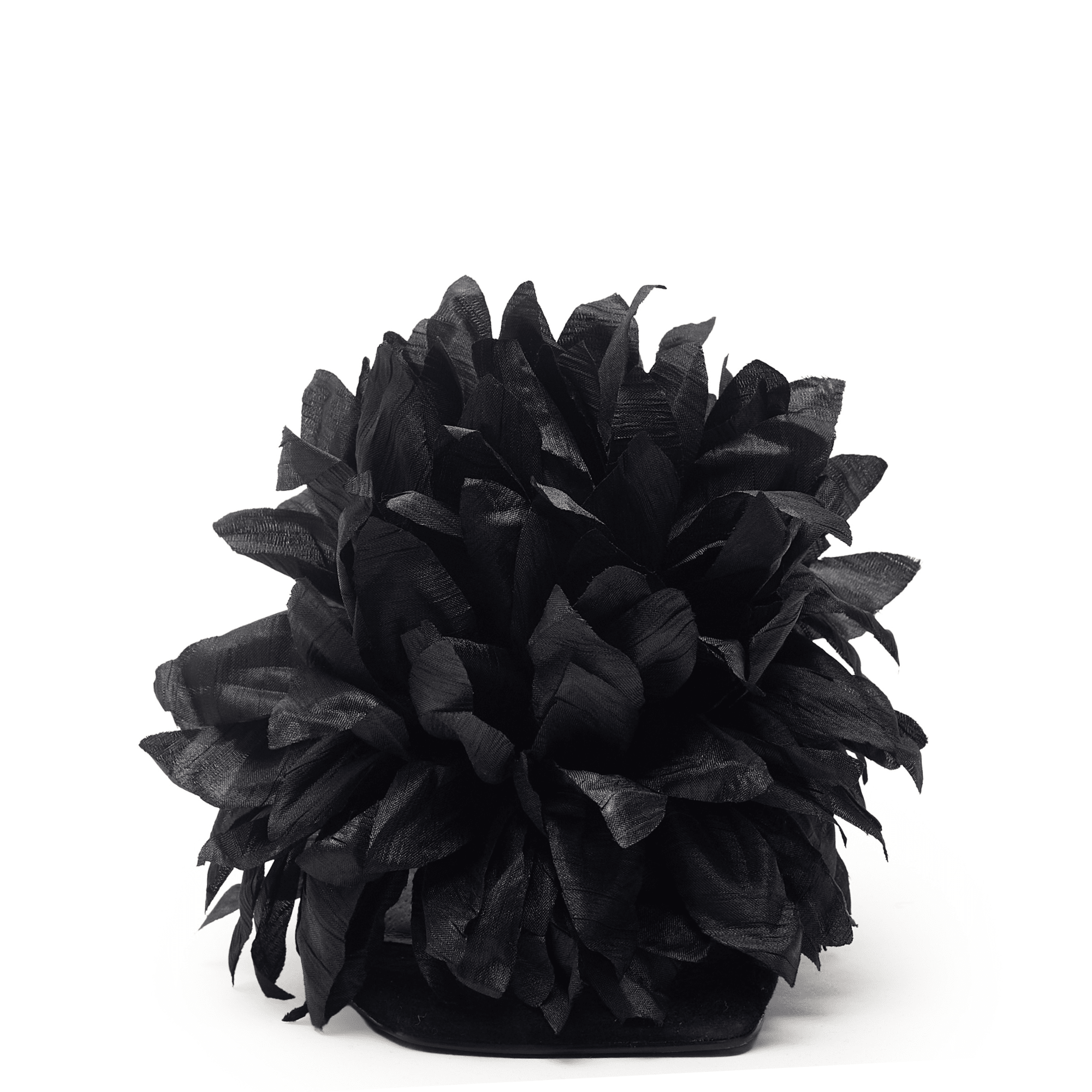 DAHLIA - Black