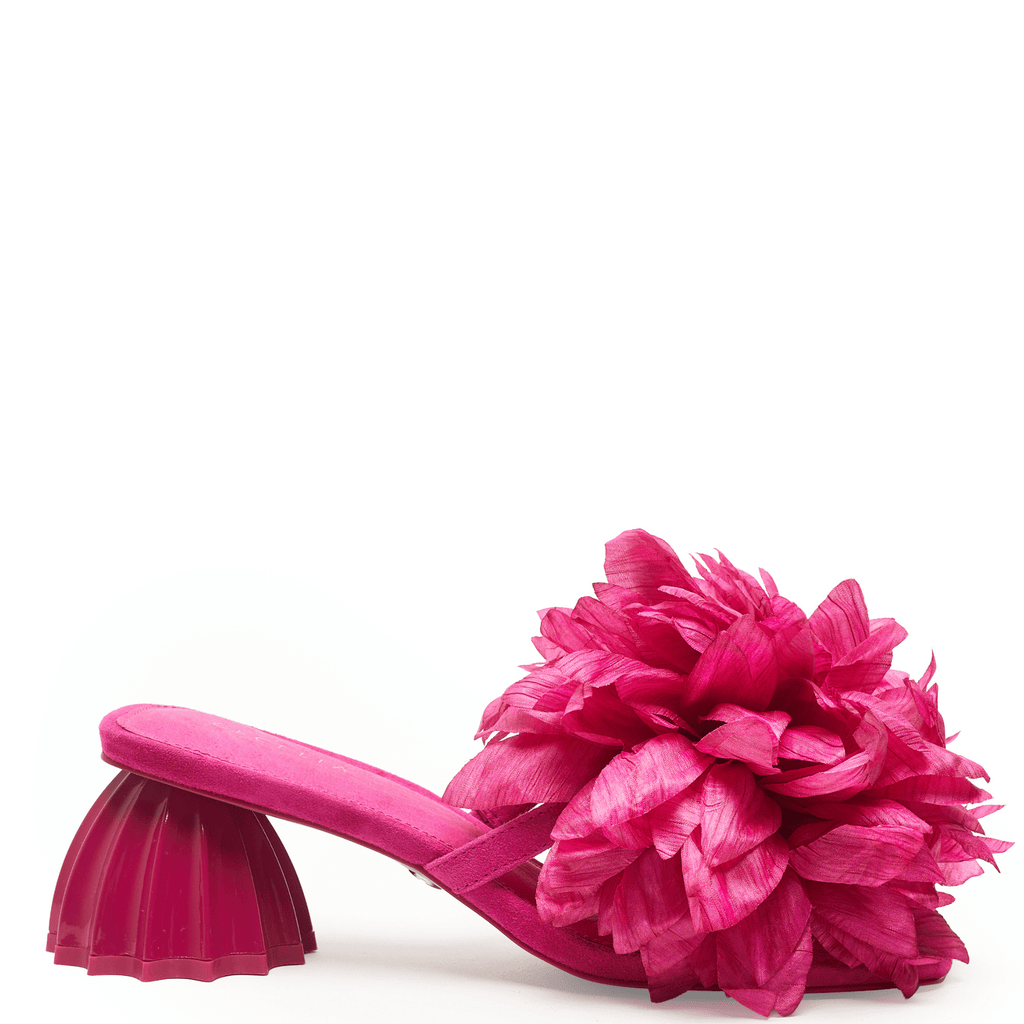 DAHLIA - Pink