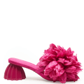 DAHLIA - Pink