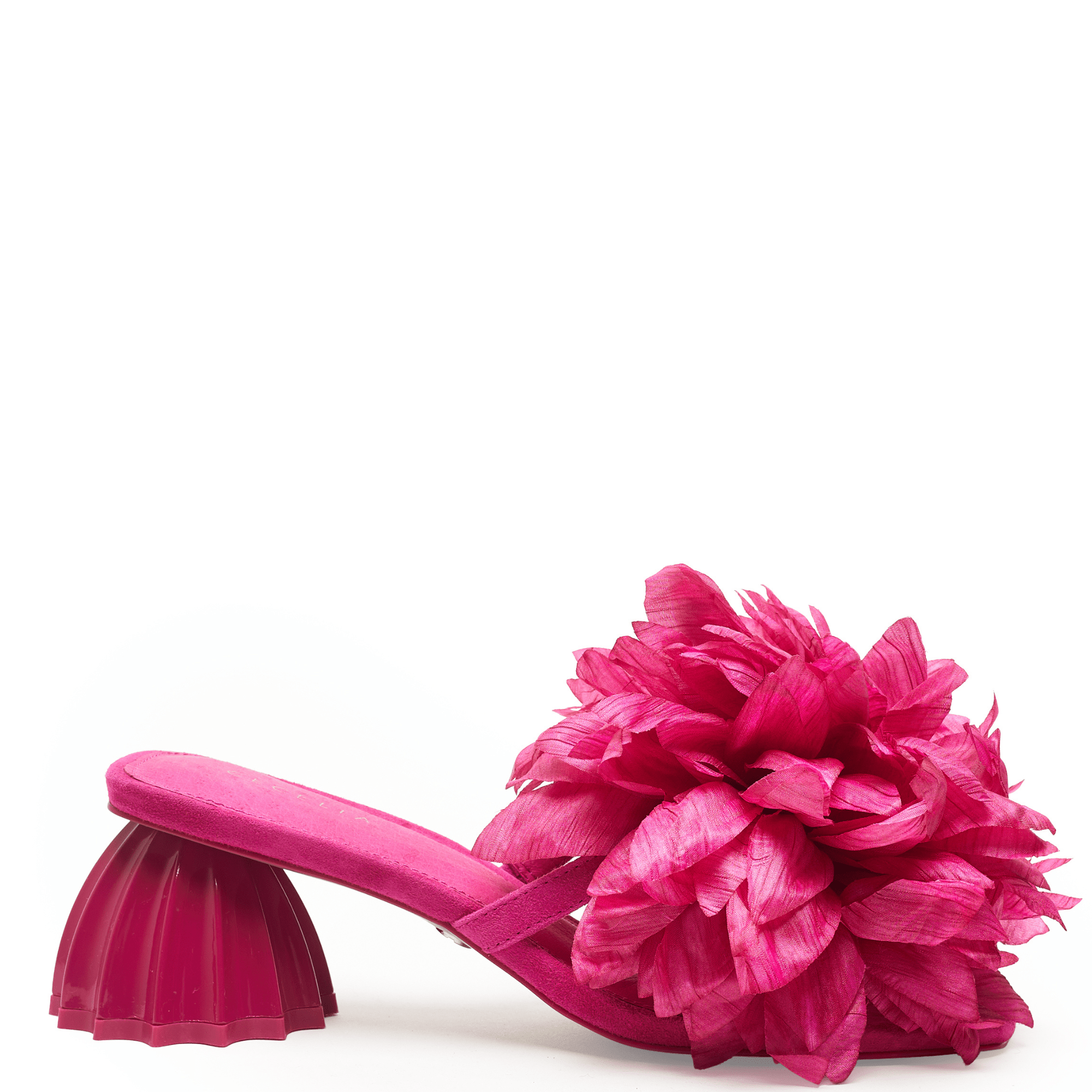 DAHLIA - Pink
