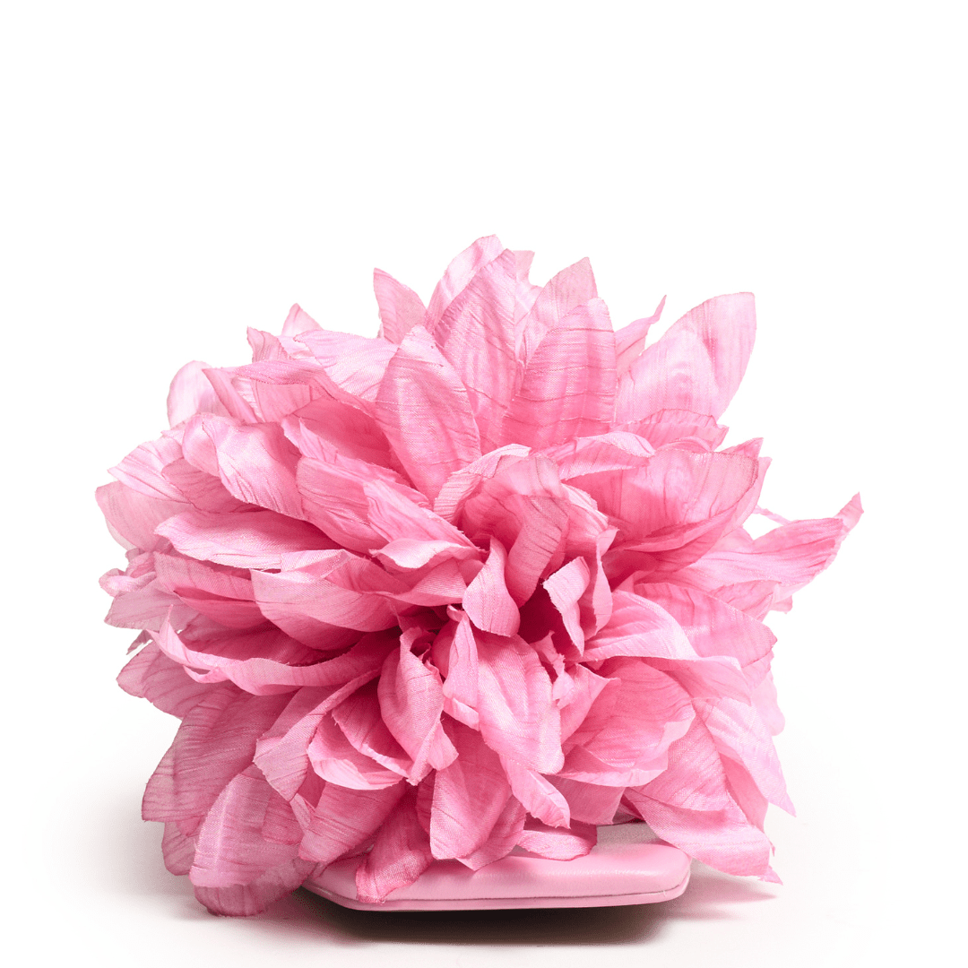 DAHLIA - Pink Fondant