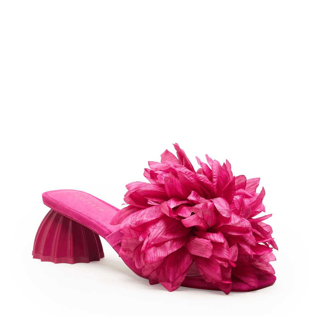 DAHLIA - Pink