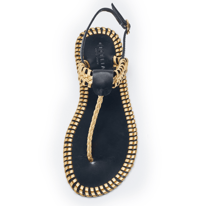 FRENZE - Black and Gold - Last Chance