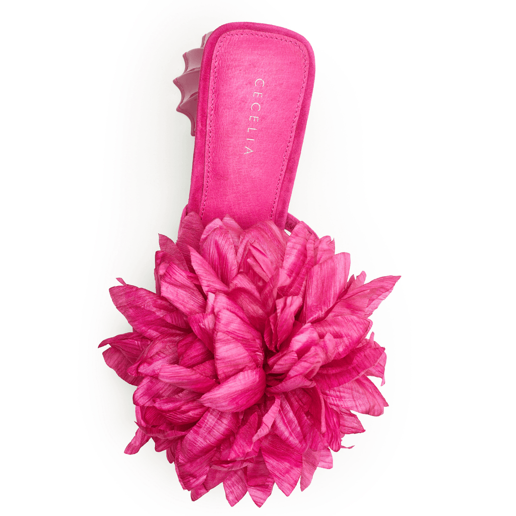 DAHLIA - Pink