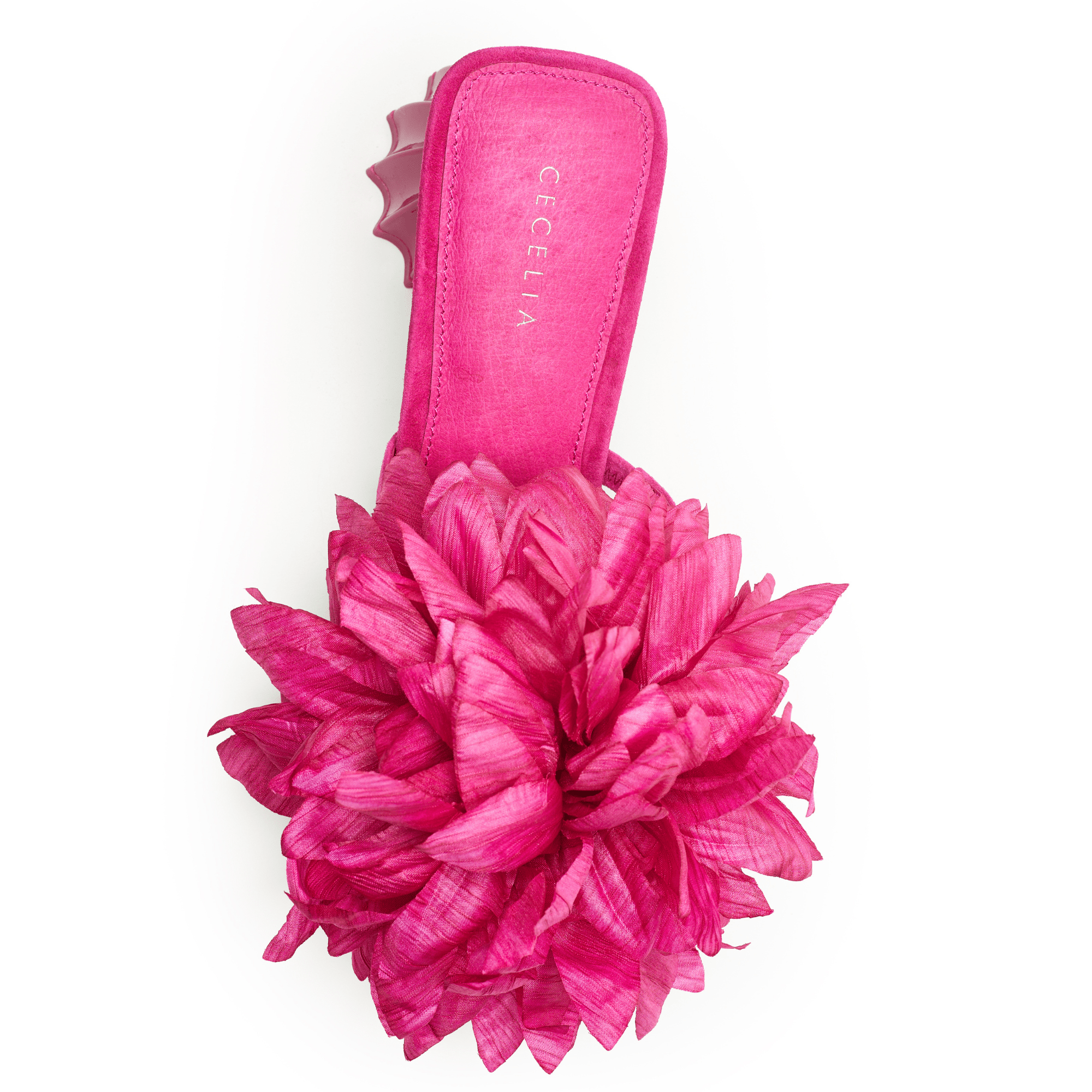 DAHLIA - Pink