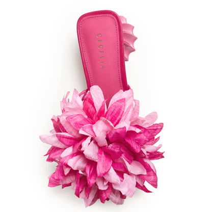 DAHLIA - Magenta Multi