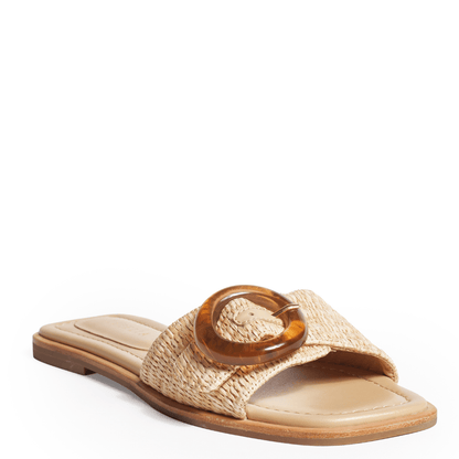 DIANE - Tortoise Shell