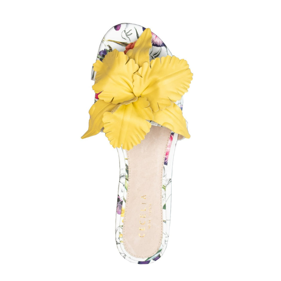 CECELIA NEW YORK Monroe Mesh Sneakerina Ballet Flats