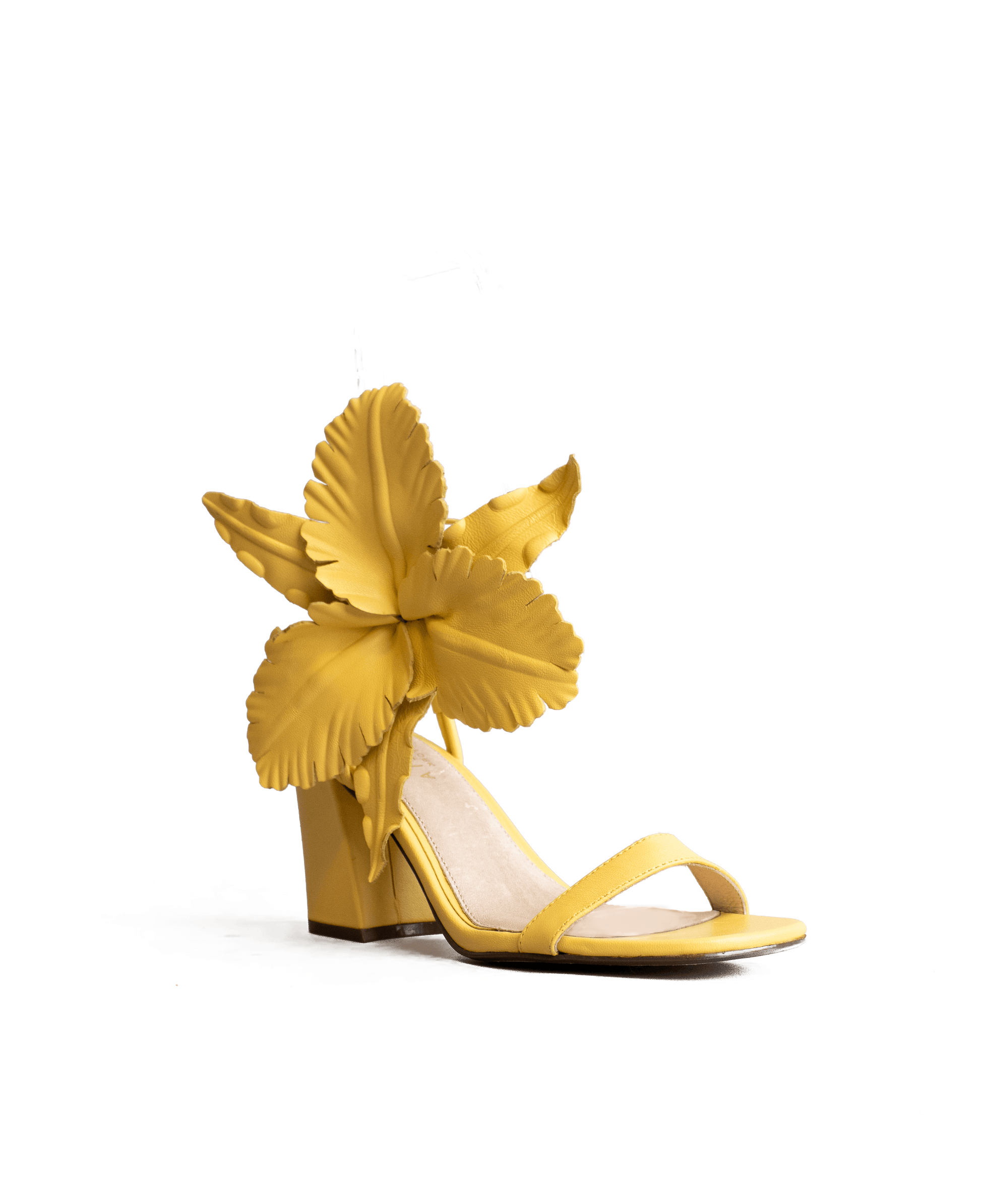 Cecelia new york hot sale hibiscus heels